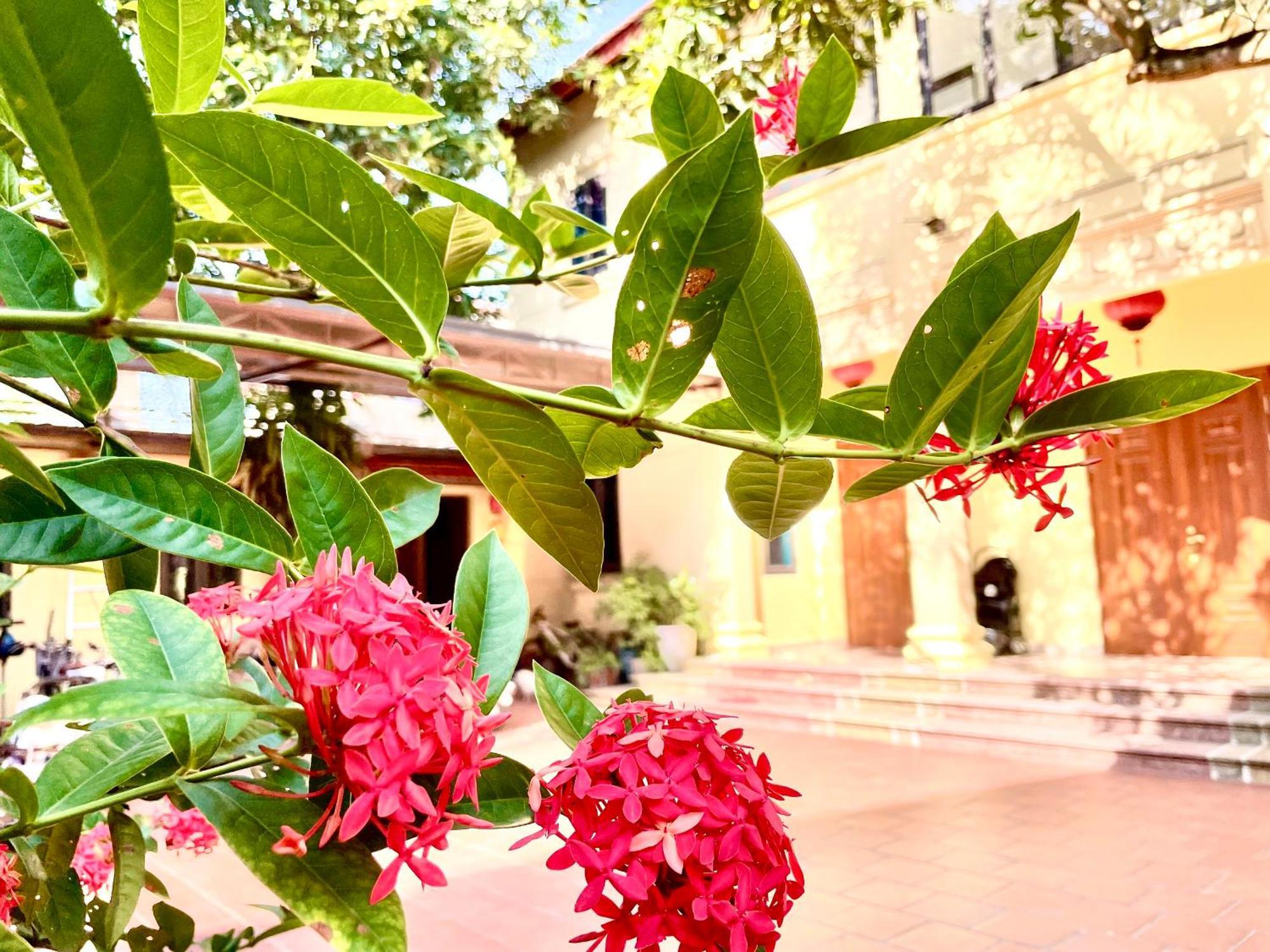 Lee Homestay Hanoi Exterior foto